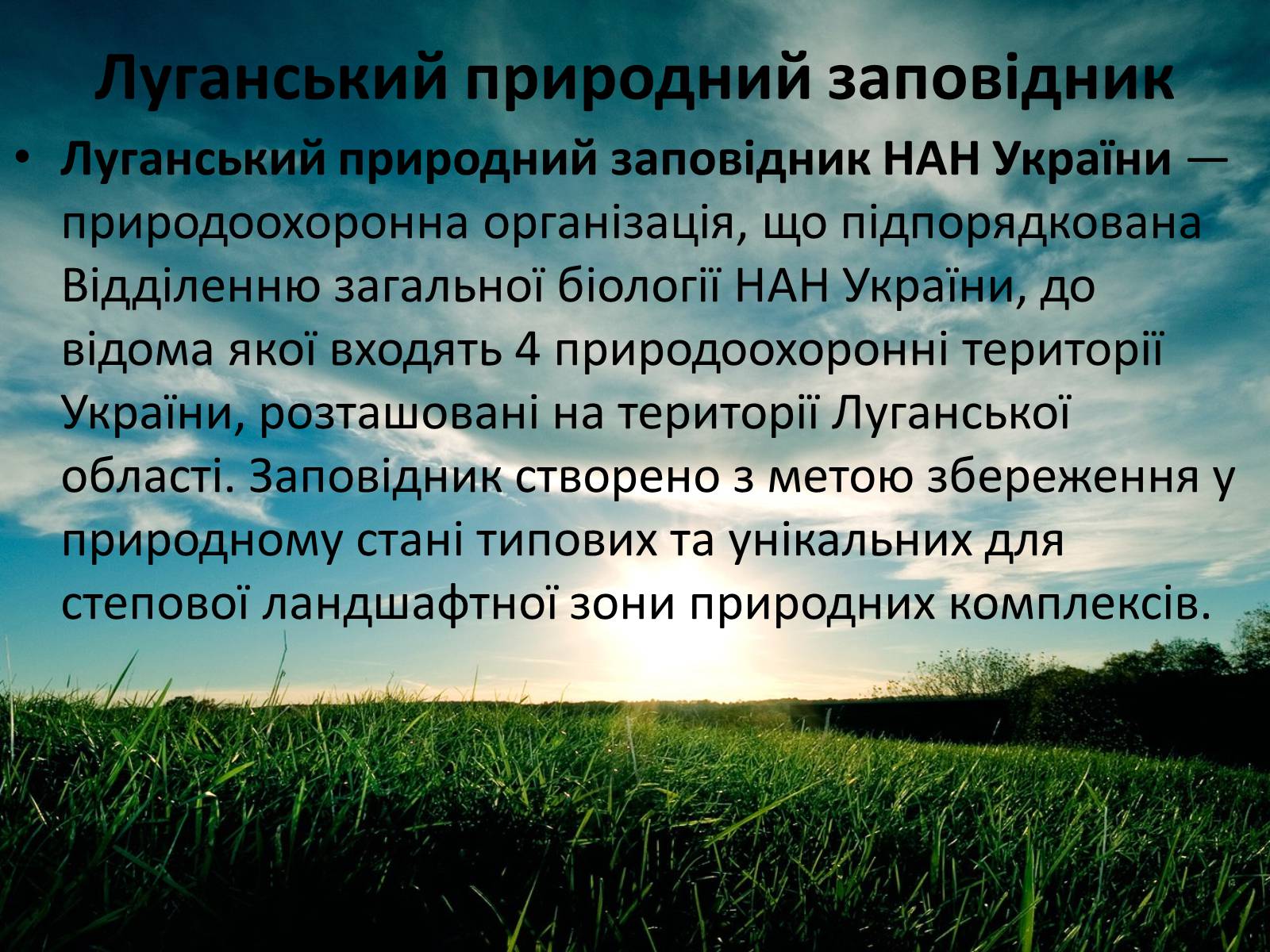 Презентація на тему «Заповідна мережа України» (варіант 3) - Слайд #19