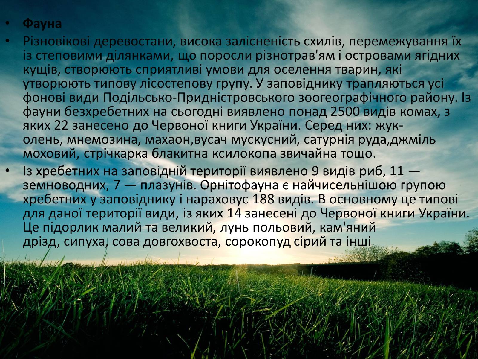 Презентація на тему «Заповідна мережа України» (варіант 3) - Слайд #33