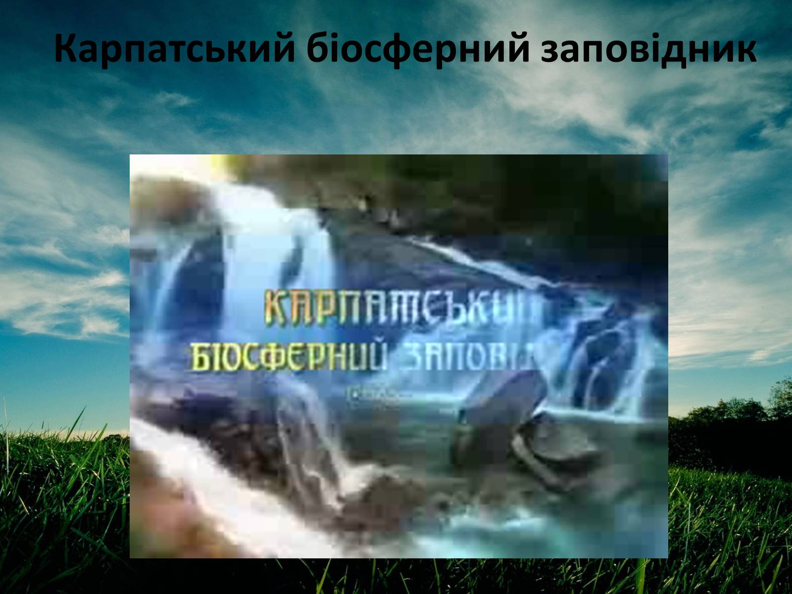 Презентація на тему «Заповідна мережа України» (варіант 3) - Слайд #7