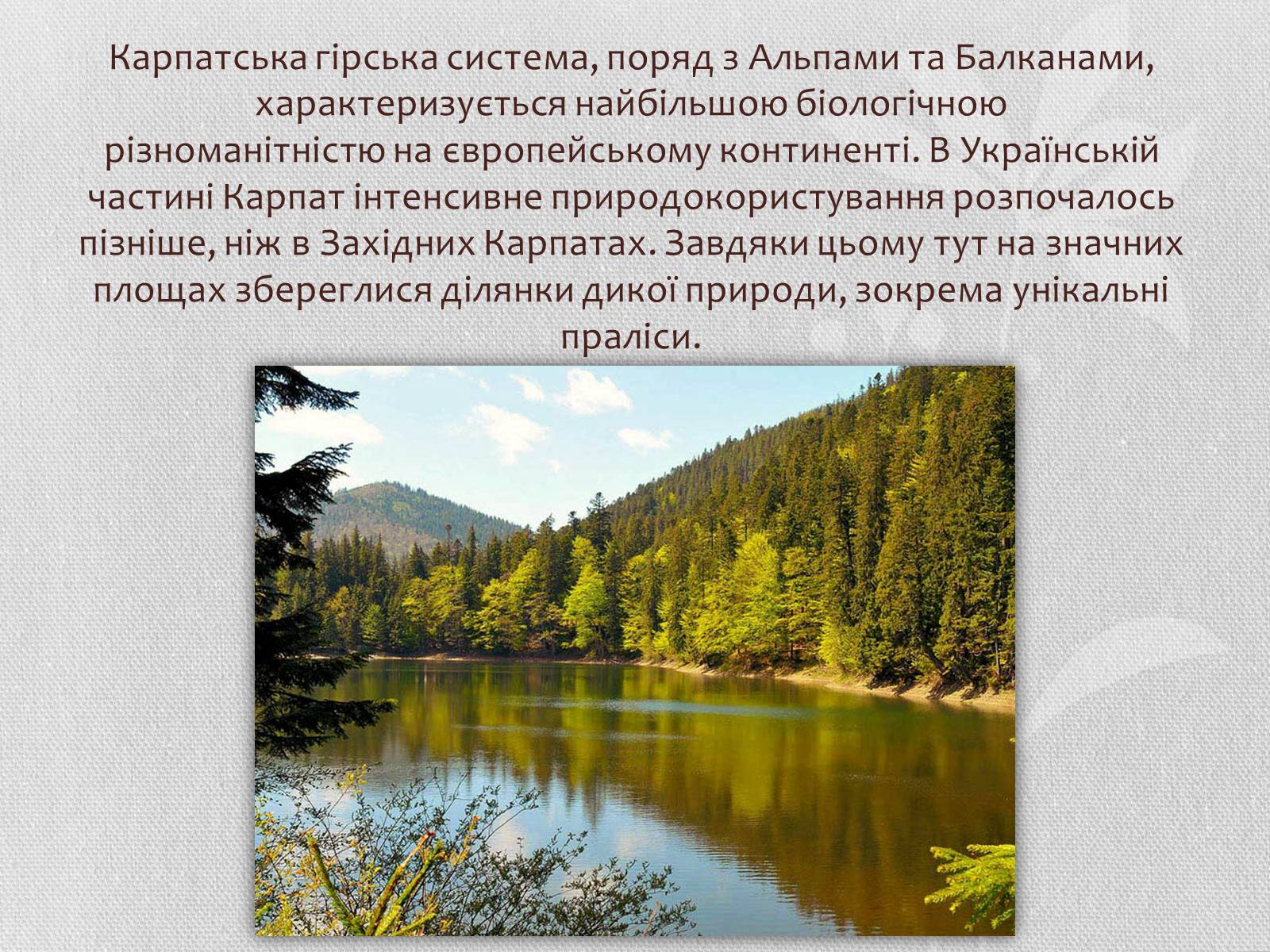 Презентація на тему «Карпатський біосферний заповідник» (варіант 1) - Слайд #2