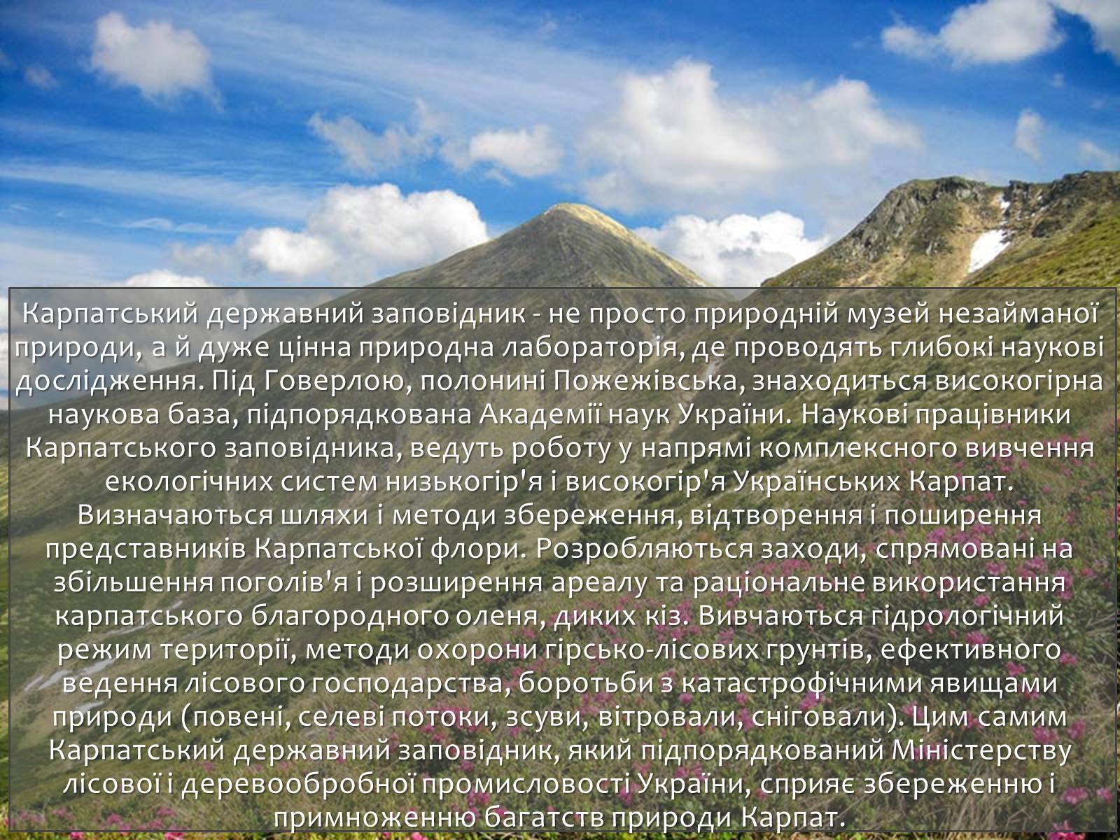 Презентація на тему «Карпатський біосферний заповідник» (варіант 1) - Слайд #30