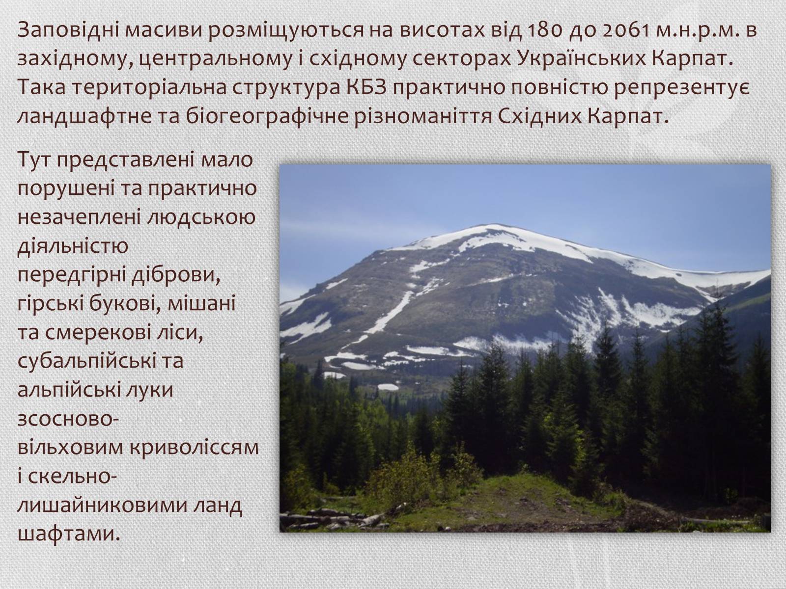 Презентація на тему «Карпатський біосферний заповідник» (варіант 1) - Слайд #6