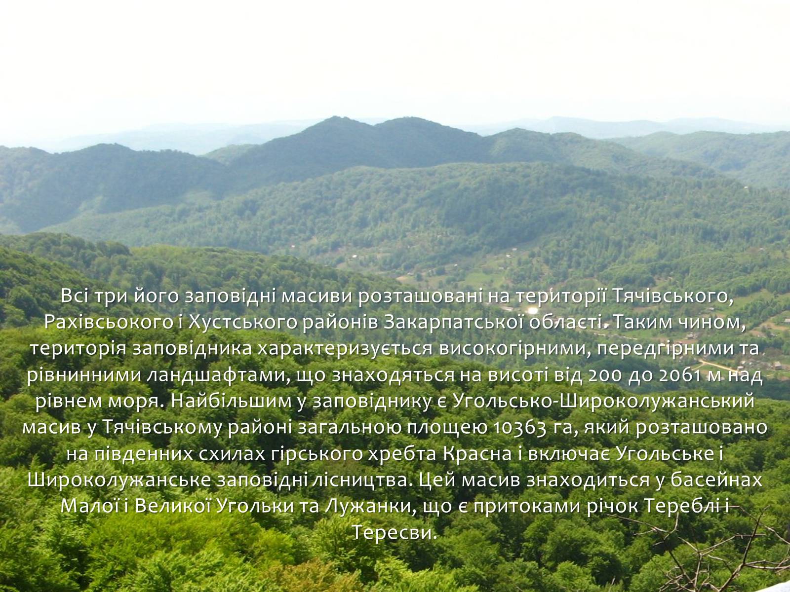 Презентація на тему «Карпатський біосферний заповідник» (варіант 1) - Слайд #7