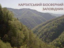 Презентація на тему «Карпатський біосферний заповідник» (варіант 1)