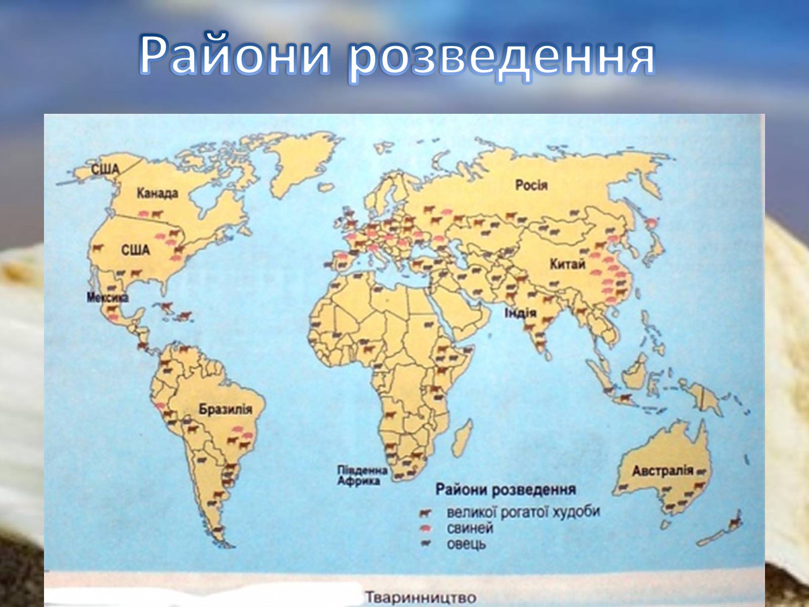 Презентація на тему «Сільське господарство світу» (варіант 2) - Слайд #11