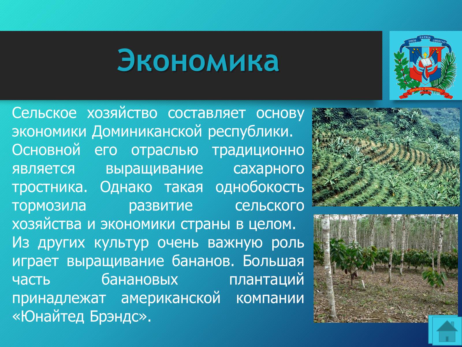 Презентація на тему «Доминиканская Республика» - Слайд #10