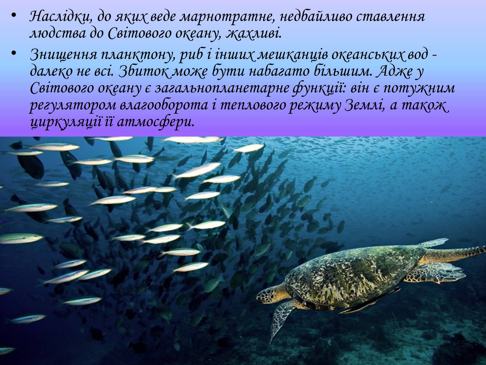 Презентація на тему «Глобальні проблеми світового океану» (варіант 1) - Слайд #13