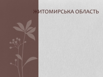 Презентація на тему «Житомирська область»