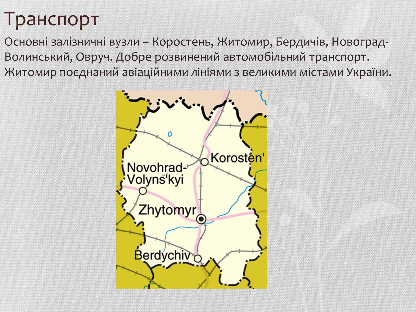 Презентація на тему «Житомирська область» - Слайд #17