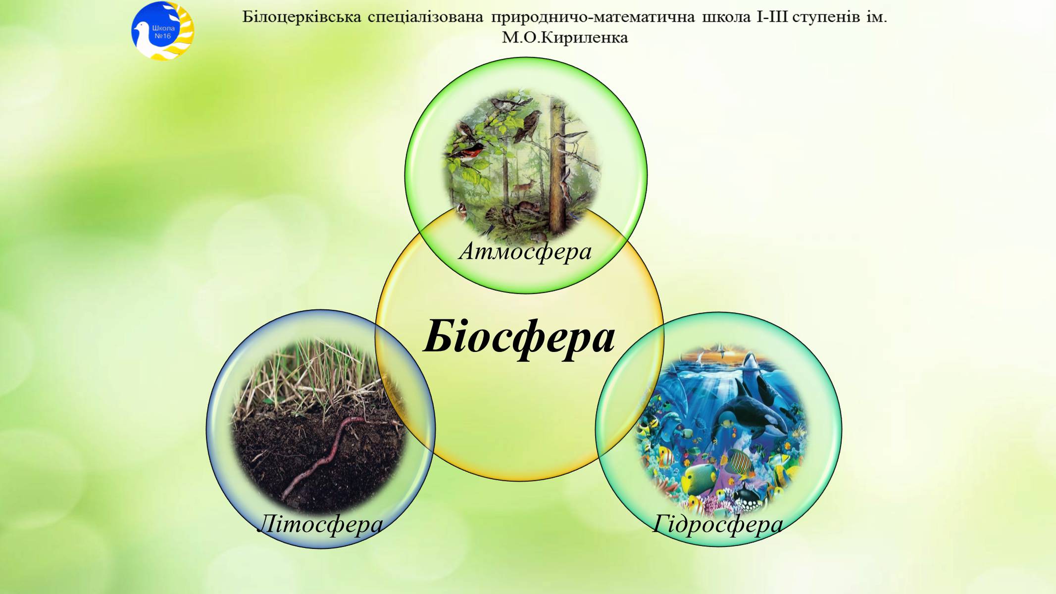 Человек часть биосферы экологические проблемы. Взаимодействие гидросферы и биосферы. Экология биосферы в наше время. Місцеві екосистеми.