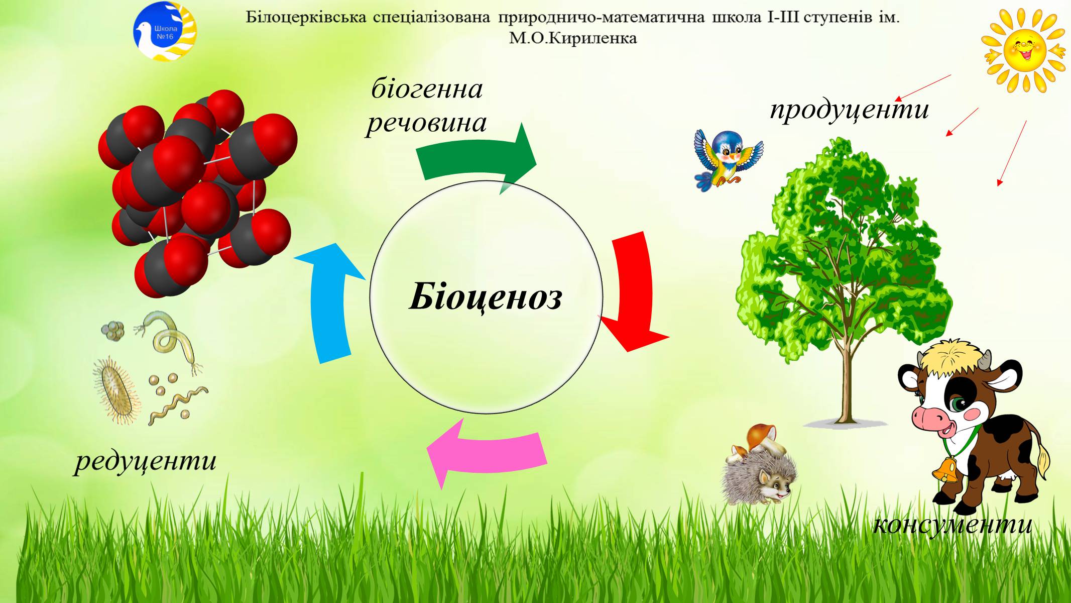 Презентація на тему «Екосистема. Біосфера» - Слайд #4