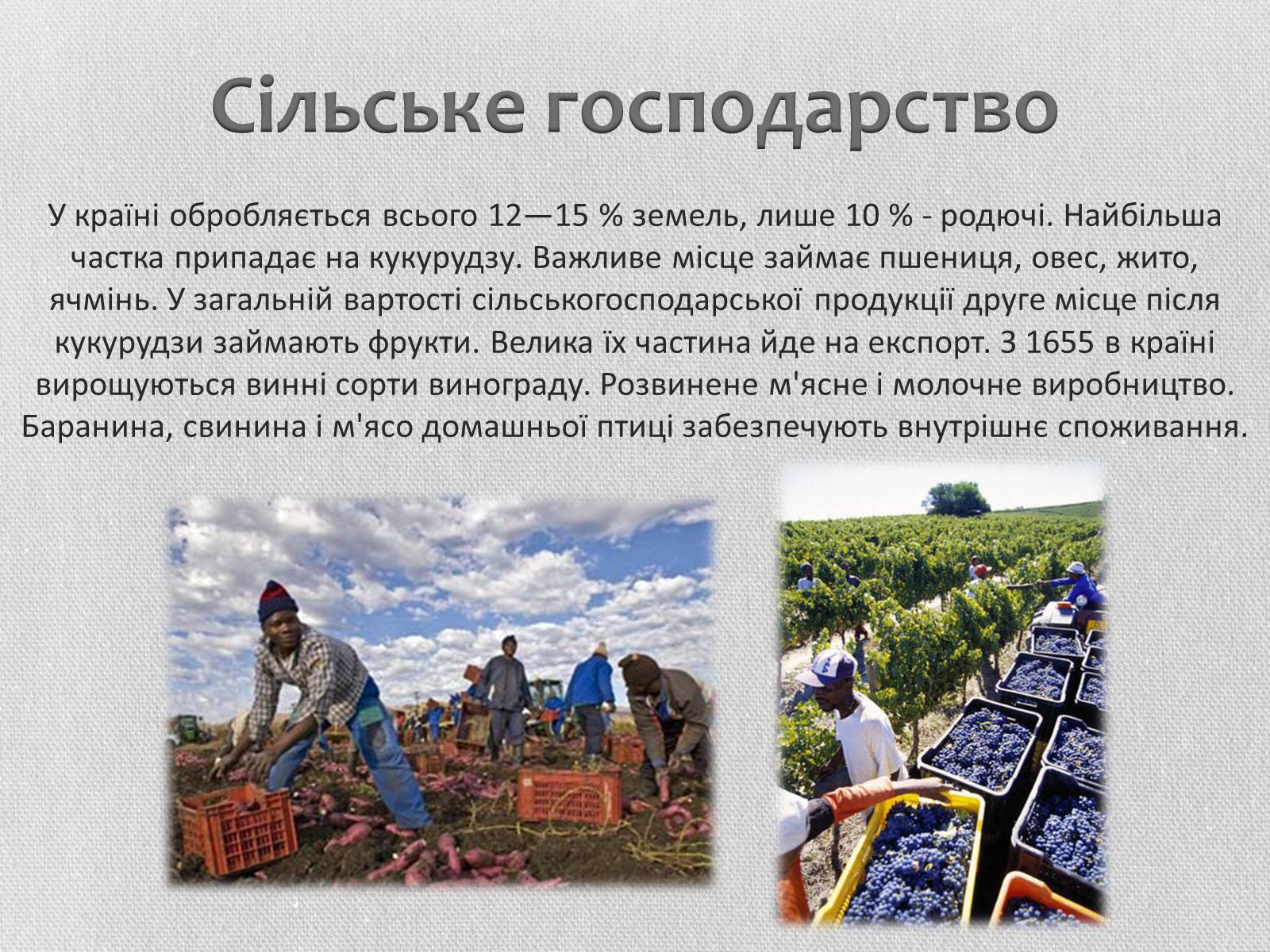 Презентація на тему «Південно-Африканська Республіка» (варіант 5) - Слайд #17