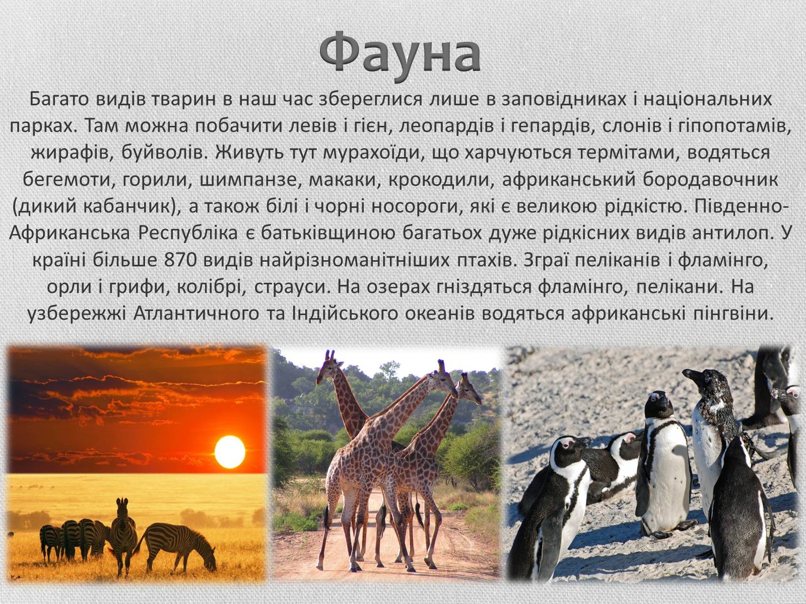 Презентація на тему «Південно-Африканська Республіка» (варіант 5) - Слайд #9