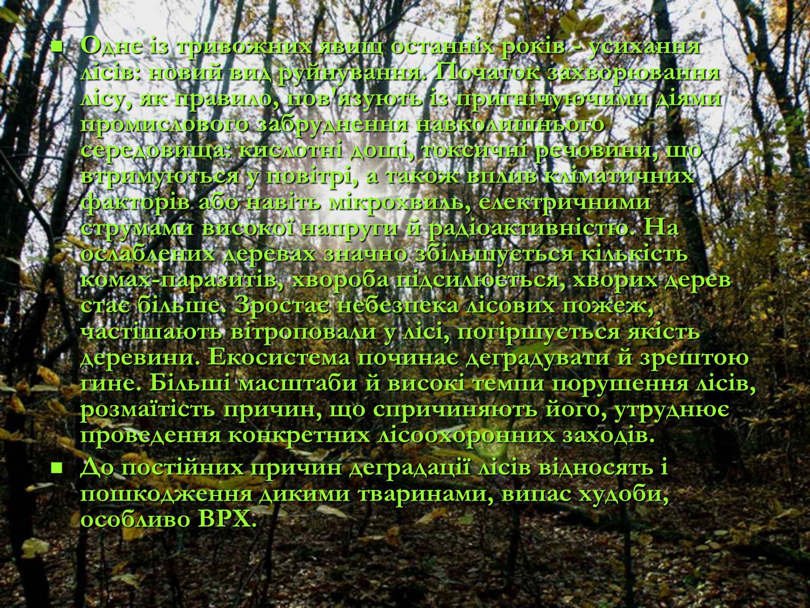 Презентація на тему «Легені землі. Проблеми збереження лісів» - Слайд #5