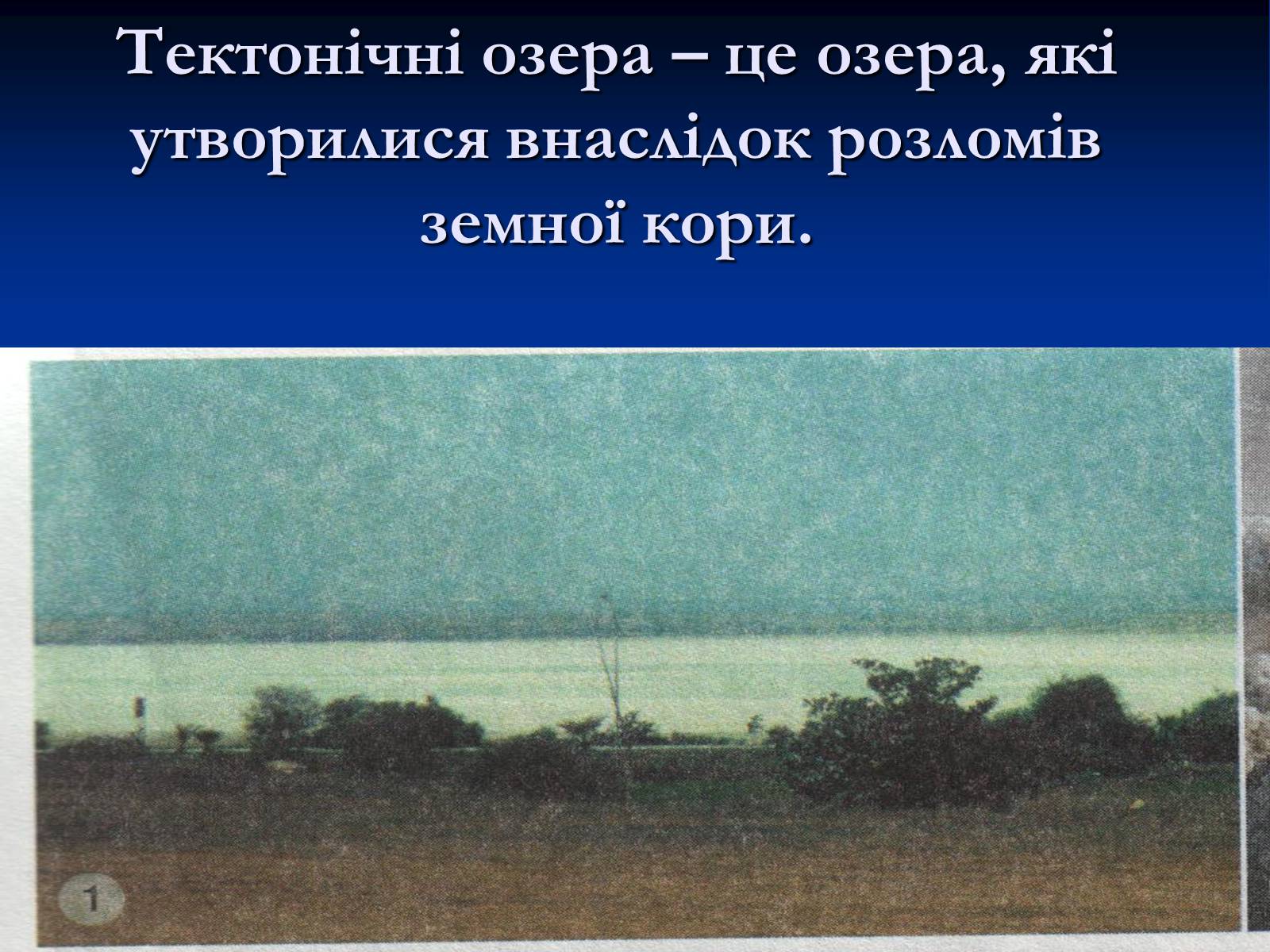 Презентація на тему «Озера. Штучні водойми» - Слайд #3