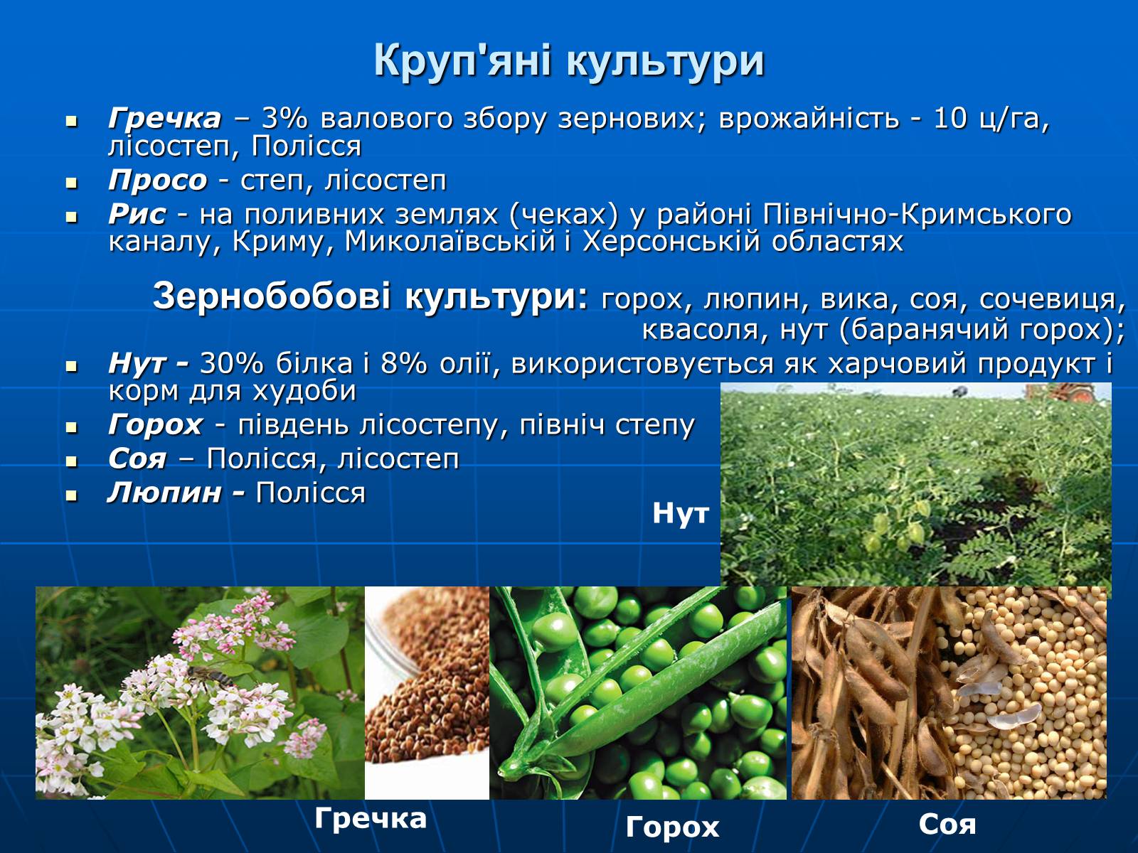 Презентація на тему «Сільське господарство» - Слайд #10