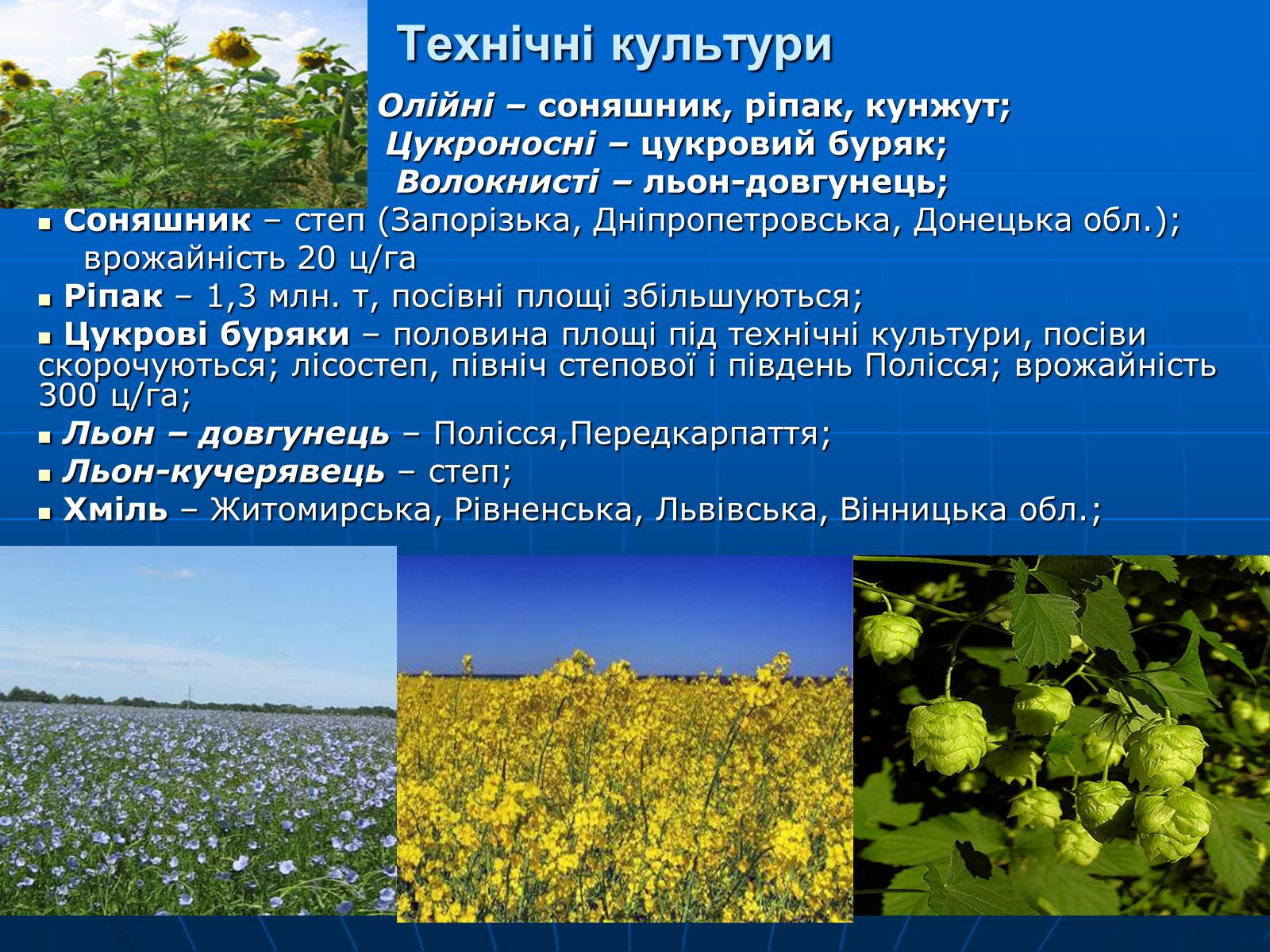 Презентація на тему «Сільське господарство» - Слайд #11