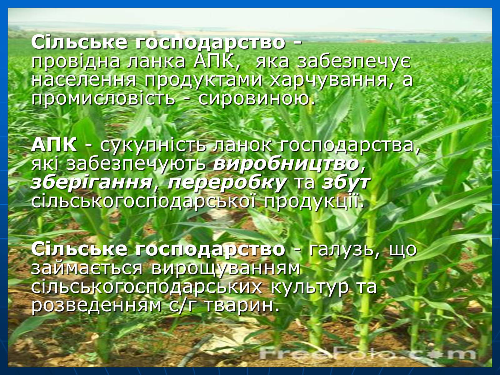 Презентація на тему «Сільське господарство» - Слайд #2