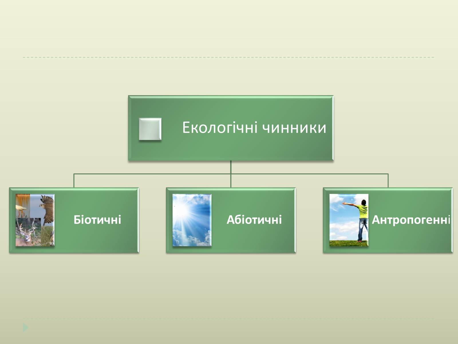 Презентація на тему «Екологічні чинники» (варіант 2) - Слайд #3