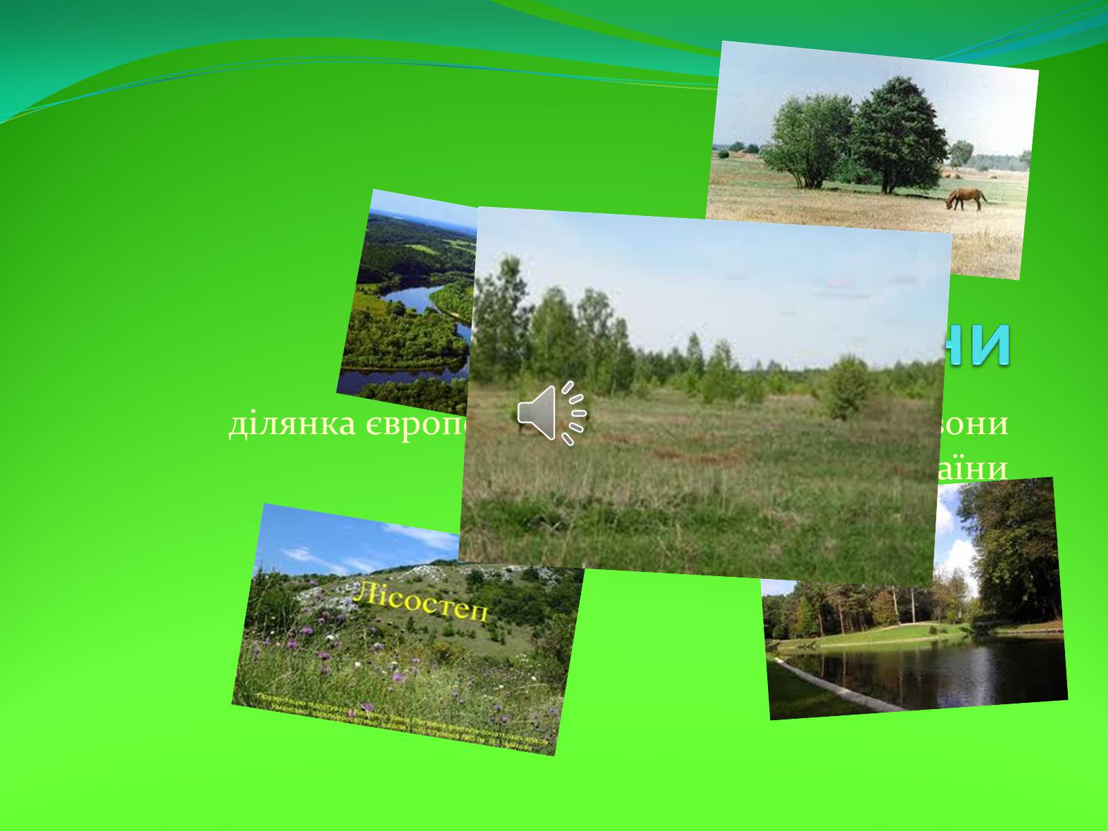 Презентація на тему «Лісостеп України» - Слайд #1