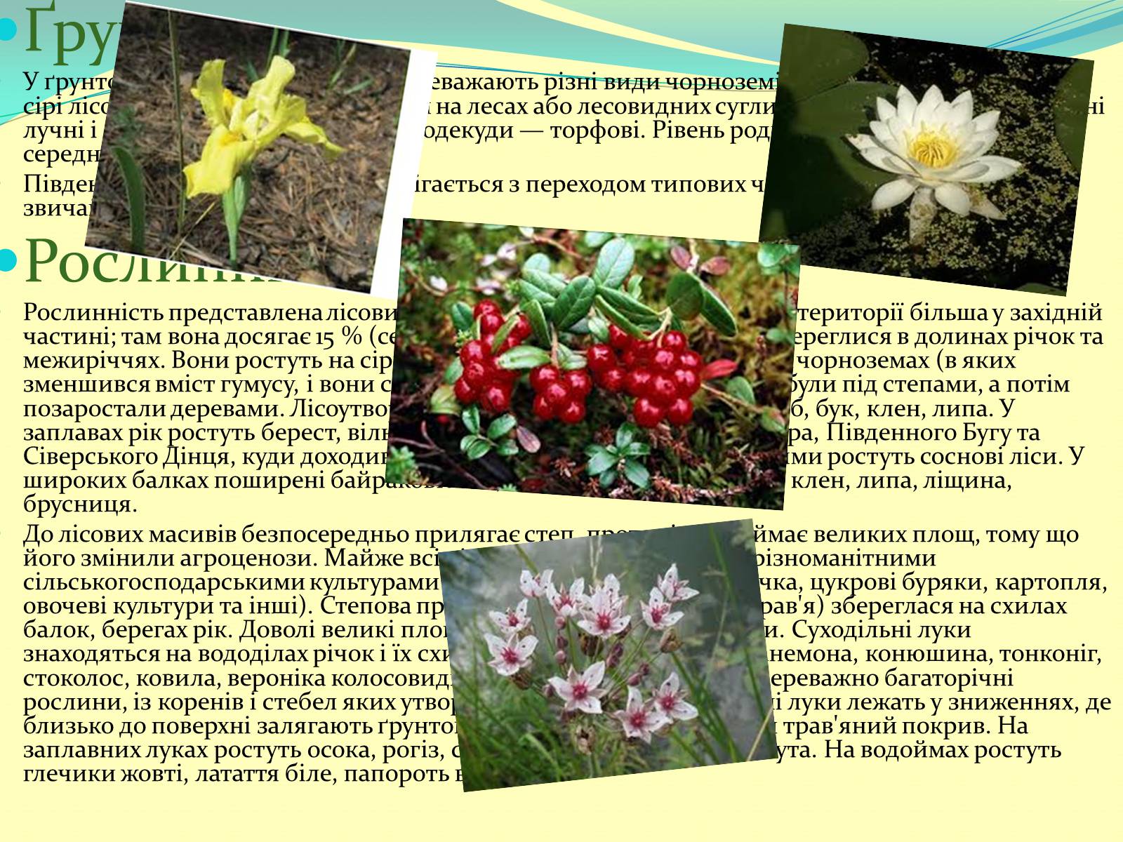 Презентація на тему «Лісостеп України» - Слайд #5