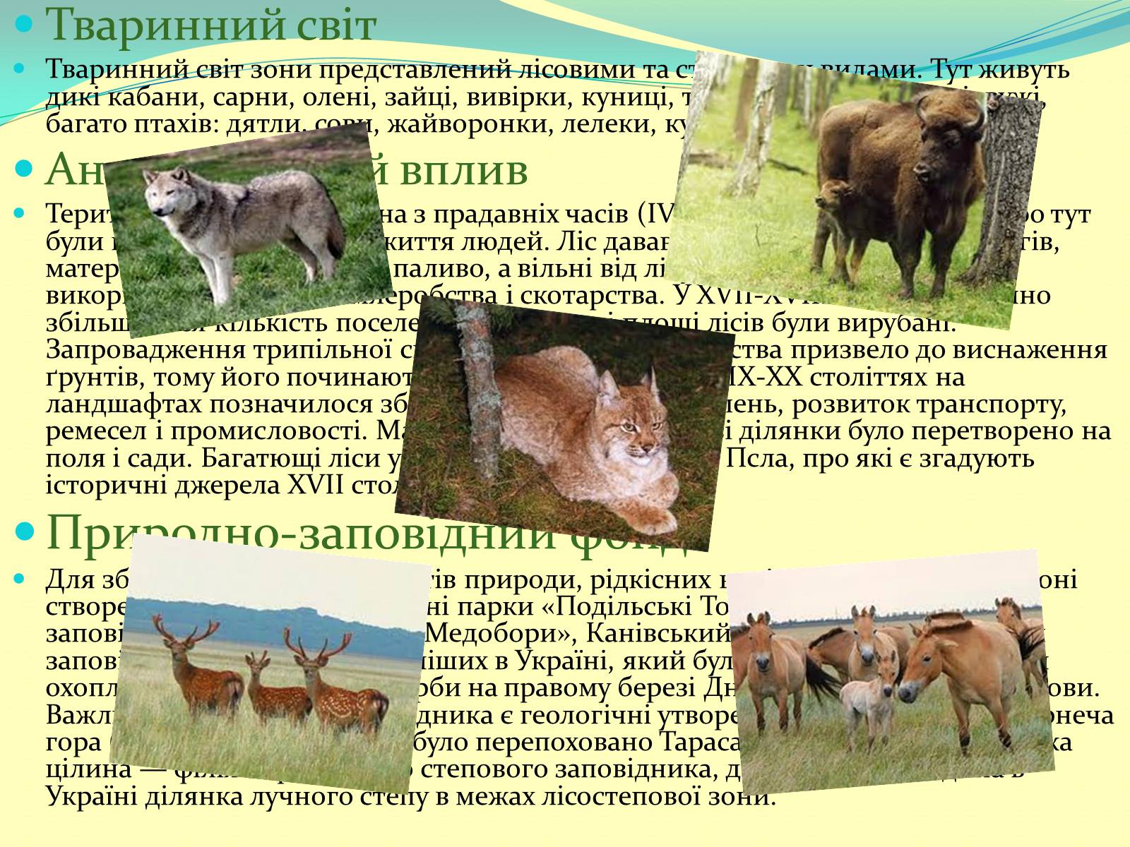 Презентація на тему «Лісостеп України» - Слайд #6