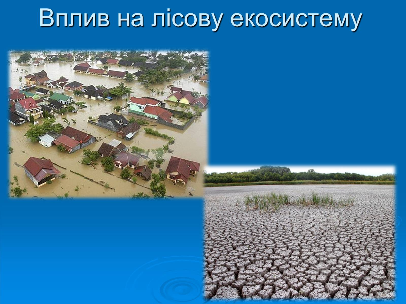 Презентація на тему «Кислотні дощі» (варіант 12) - Слайд #12