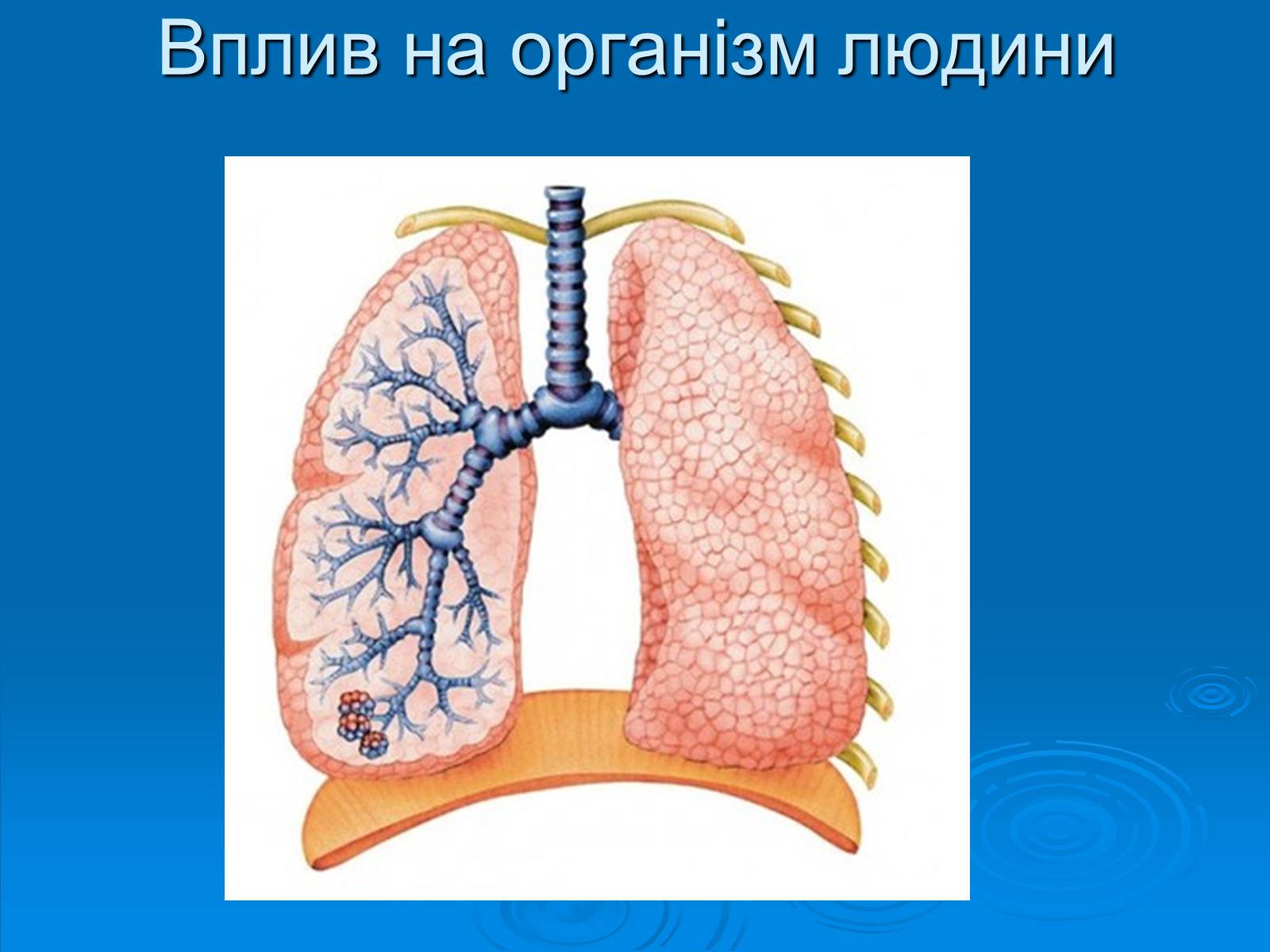 Презентація на тему «Кислотні дощі» (варіант 12) - Слайд #14