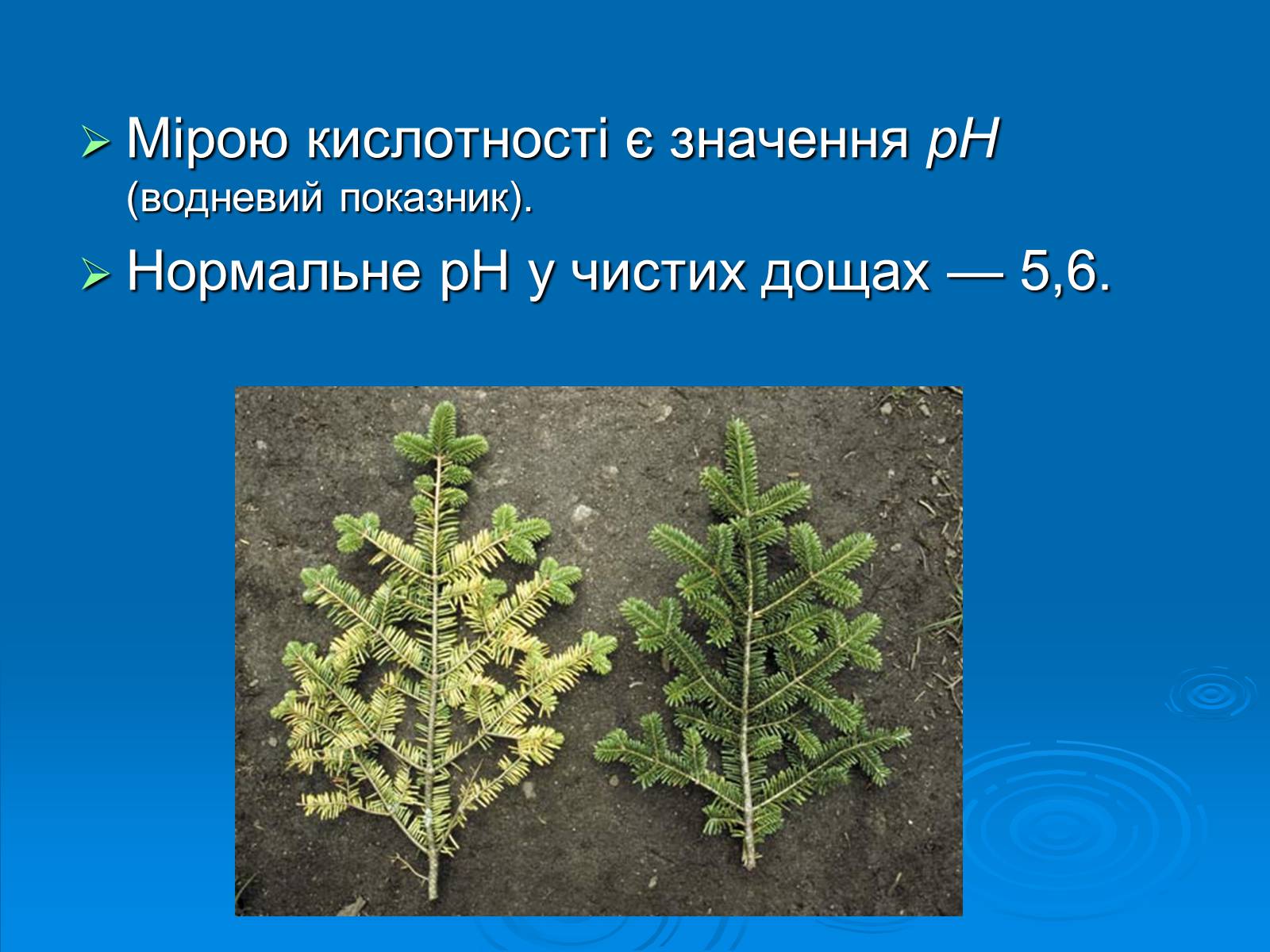 Презентація на тему «Кислотні дощі» (варіант 12) - Слайд #4