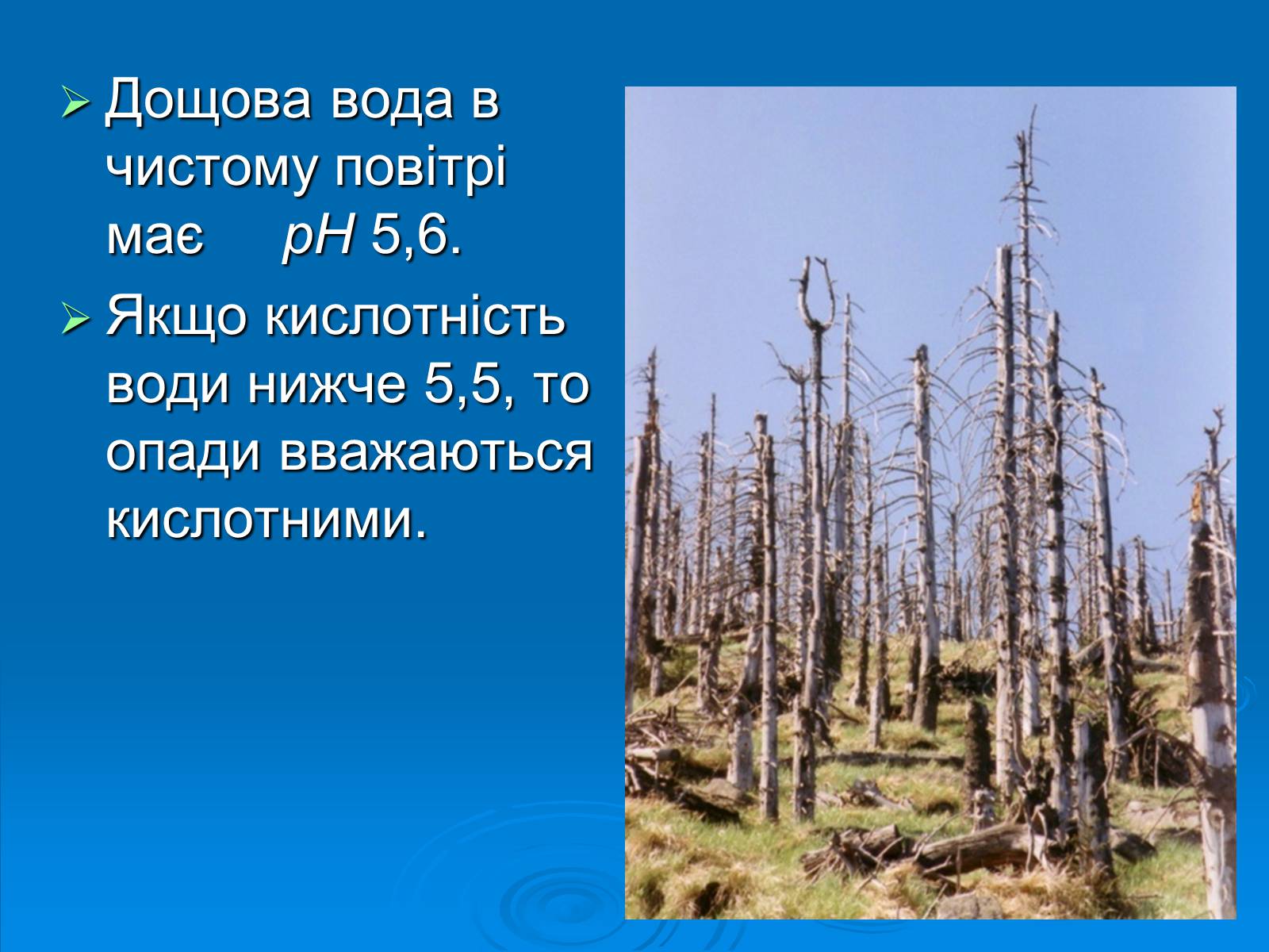 Презентація на тему «Кислотні дощі» (варіант 12) - Слайд #6