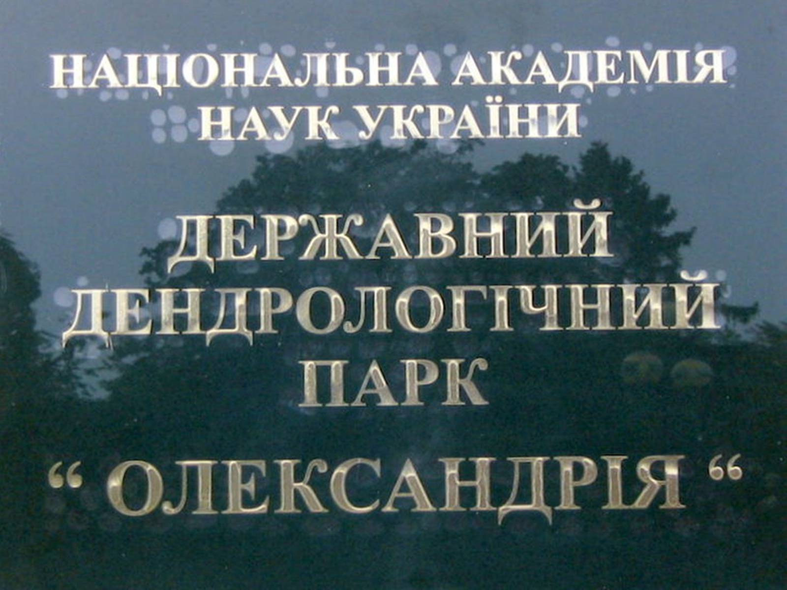 Презентація на тему «Державний дендрологічний парк «Олександрія»» - Слайд #25