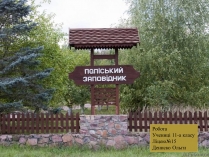 Презентація на тему «Поліський заповідник»