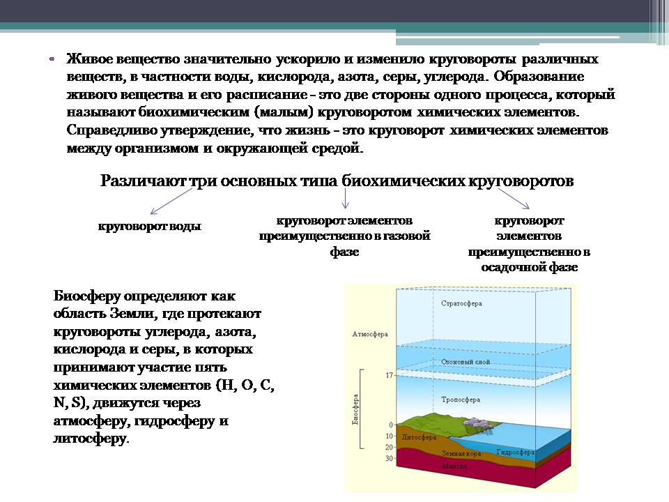 Презентація на тему «Анализ схем круговорота основных веществ в природе» - Слайд #4