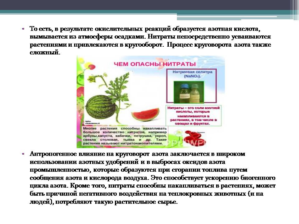 Презентація на тему «Анализ схем круговорота основных веществ в природе» - Слайд #8