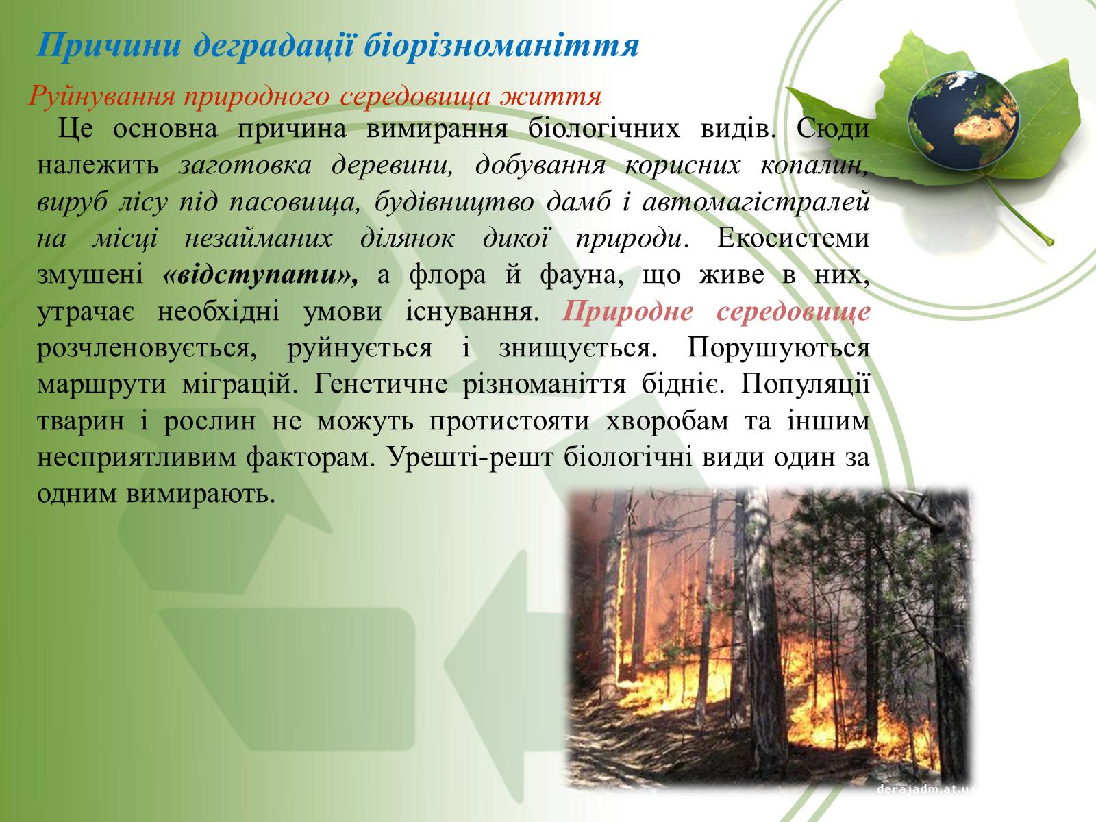 Презентація на тему «Причини і наслідки деградації біорізноманіття» (варіант 2) - Слайд #5