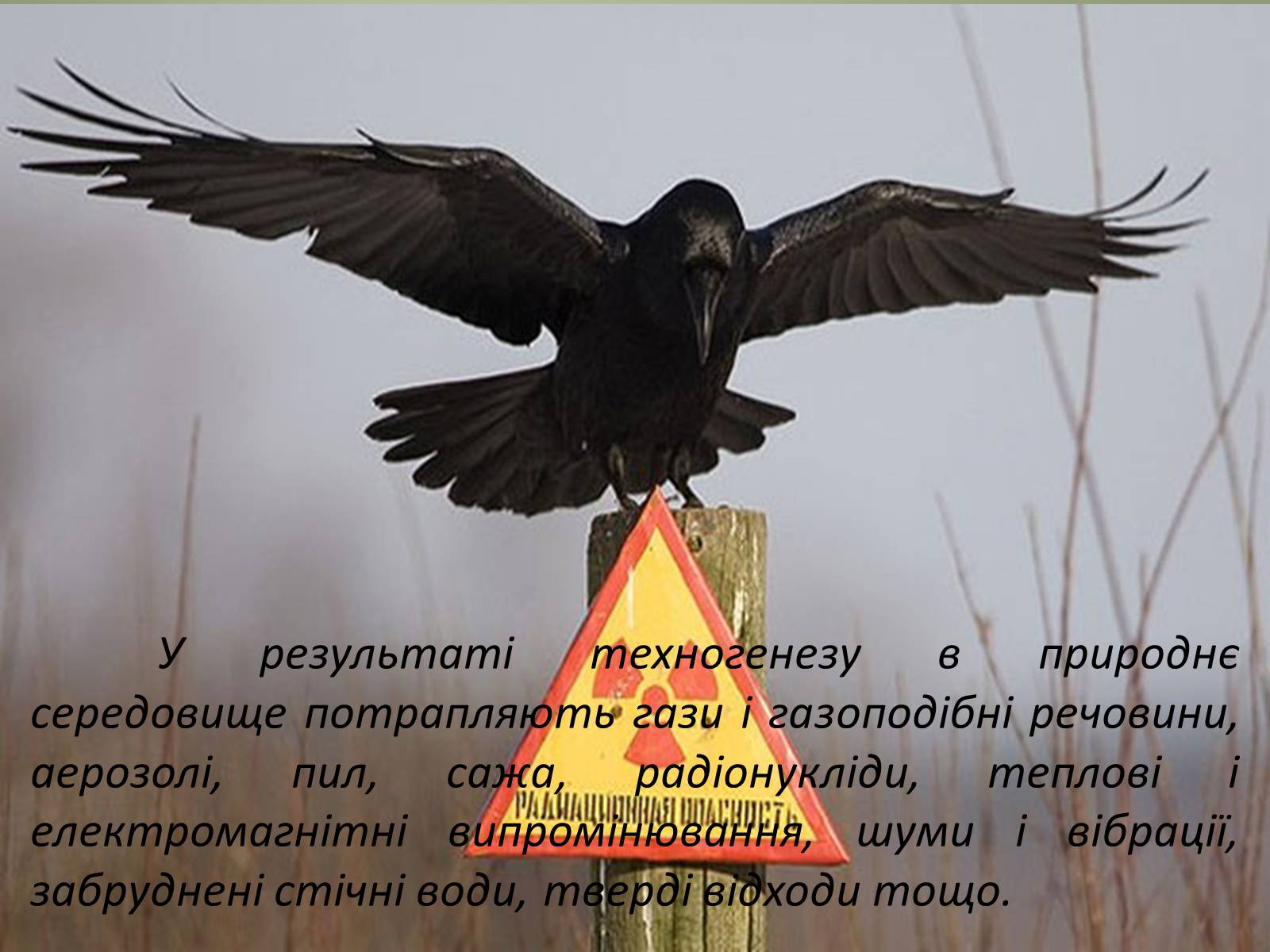 Презентація на тему «Основні антропогенні джерела забруднення навколишнього середовища» (варіант 2) - Слайд #4