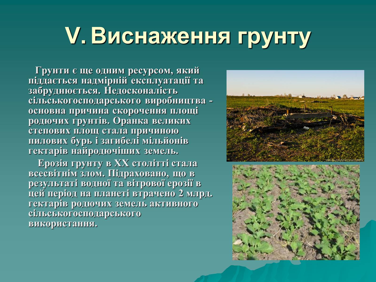 Презентація на тему «Екологія. Вплив людини на природу» - Слайд #11