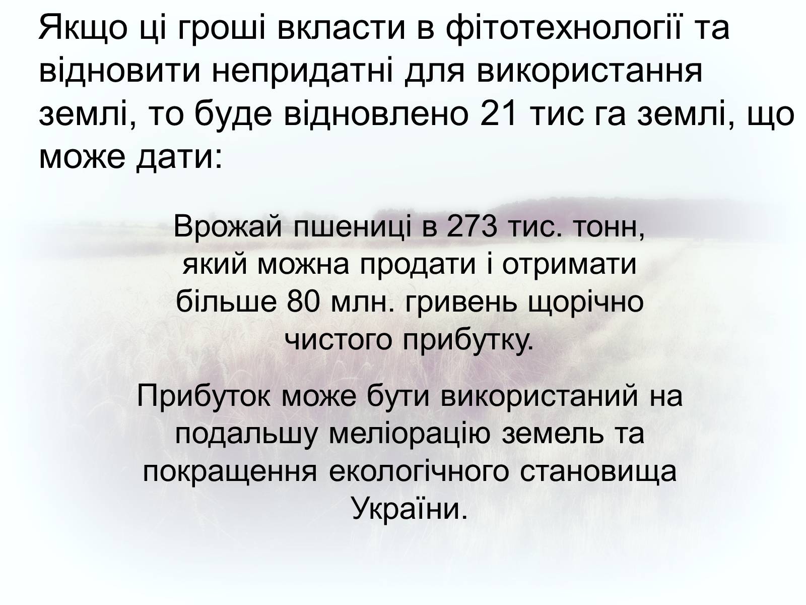 Презентація на тему «Забруднення грунтів України» (варіант 2) - Слайд #13