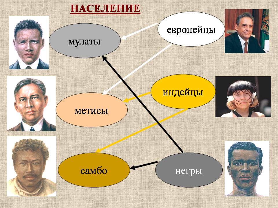 Презентація на тему «Бразилия» - Слайд #7