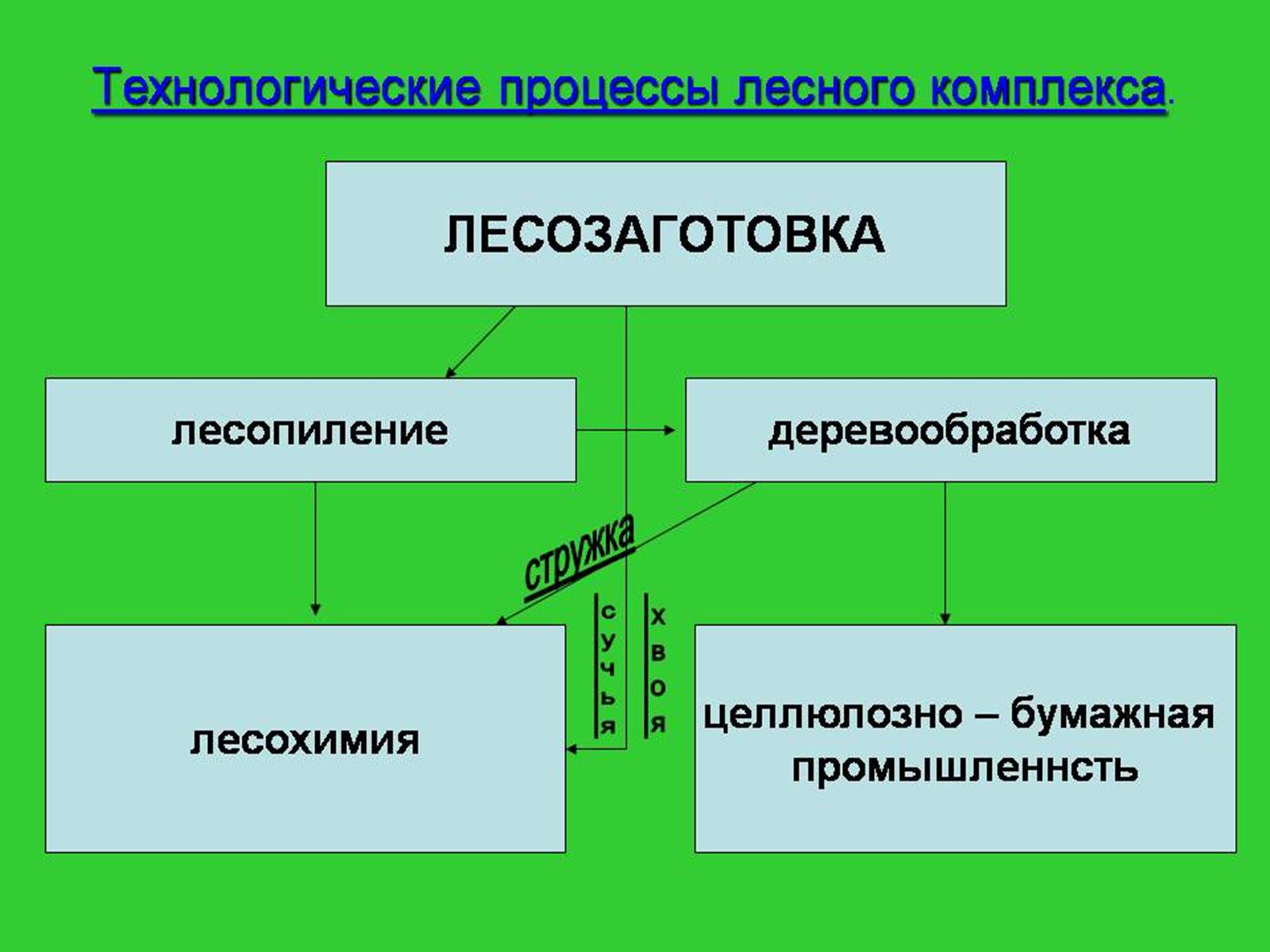 Процессы леса. Технологическая цепочка Лесной промышленности. Технологические процессы лесного комплекса. Технологический процесс лесозаготовок. Технологический процесс Лесной промышленности.