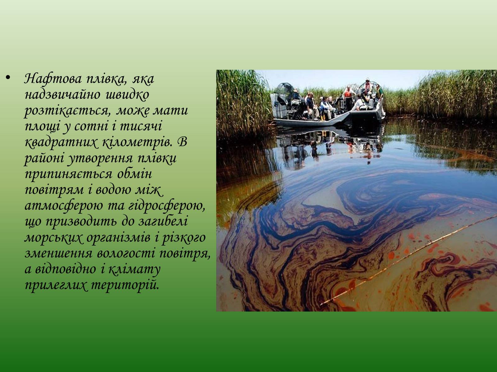 Презентація на тему «Глобальні проблеми людства. Екологічні проблеми» - Слайд #23