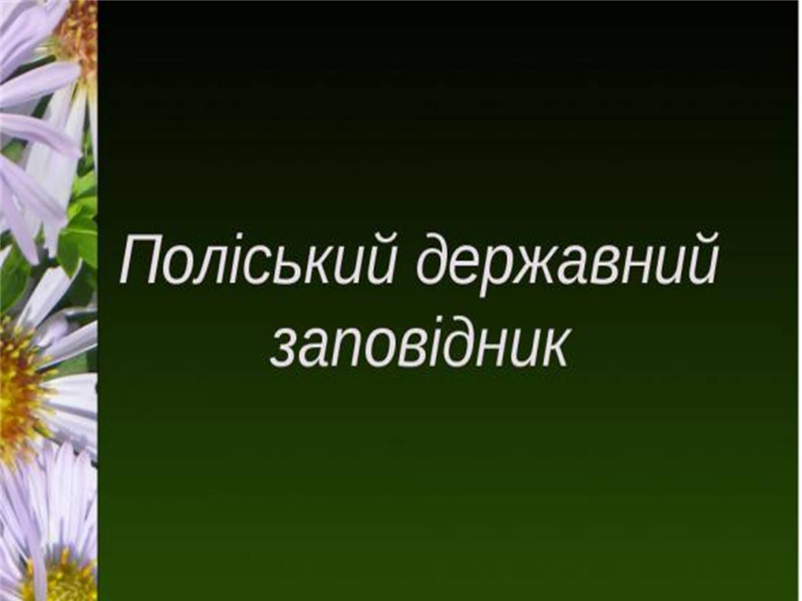 Презентація на тему «Природно-заповідний фонд України» (варіант 1) - Слайд #10