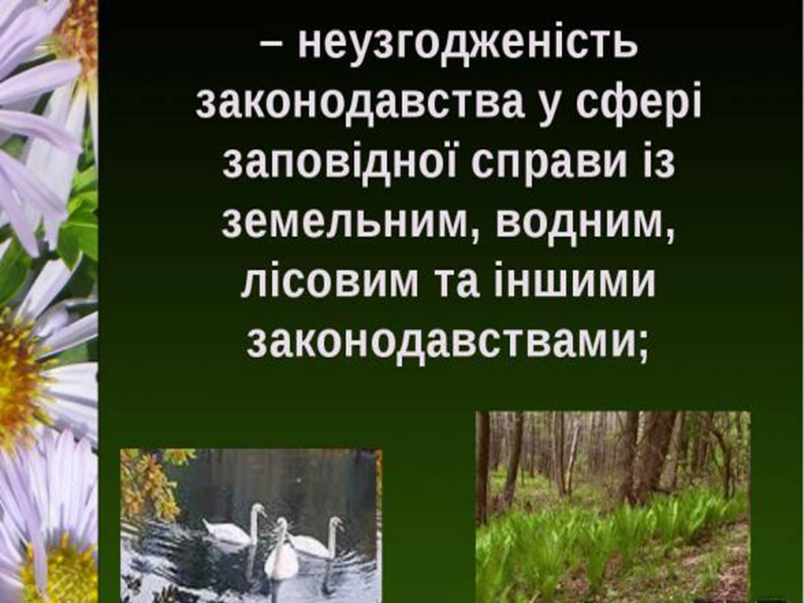 Презентація на тему «Природно-заповідний фонд України» (варіант 1) - Слайд #18