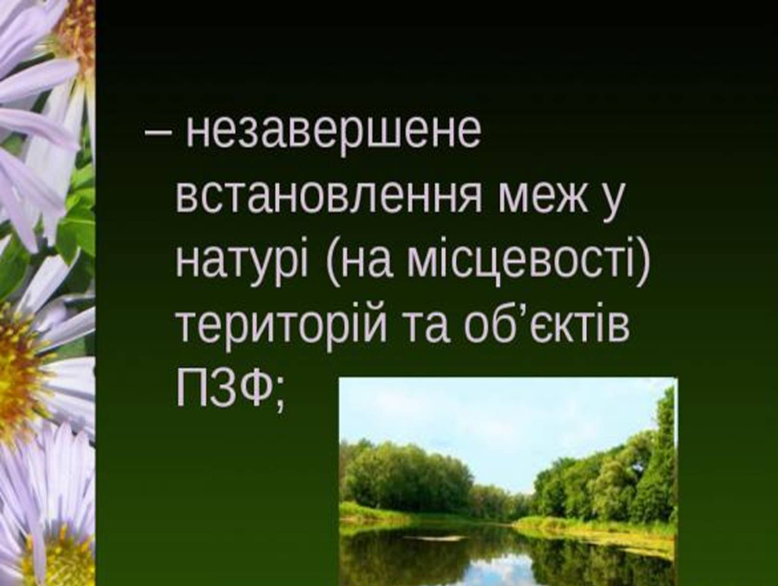 Презентація на тему «Природно-заповідний фонд України» (варіант 1) - Слайд #21