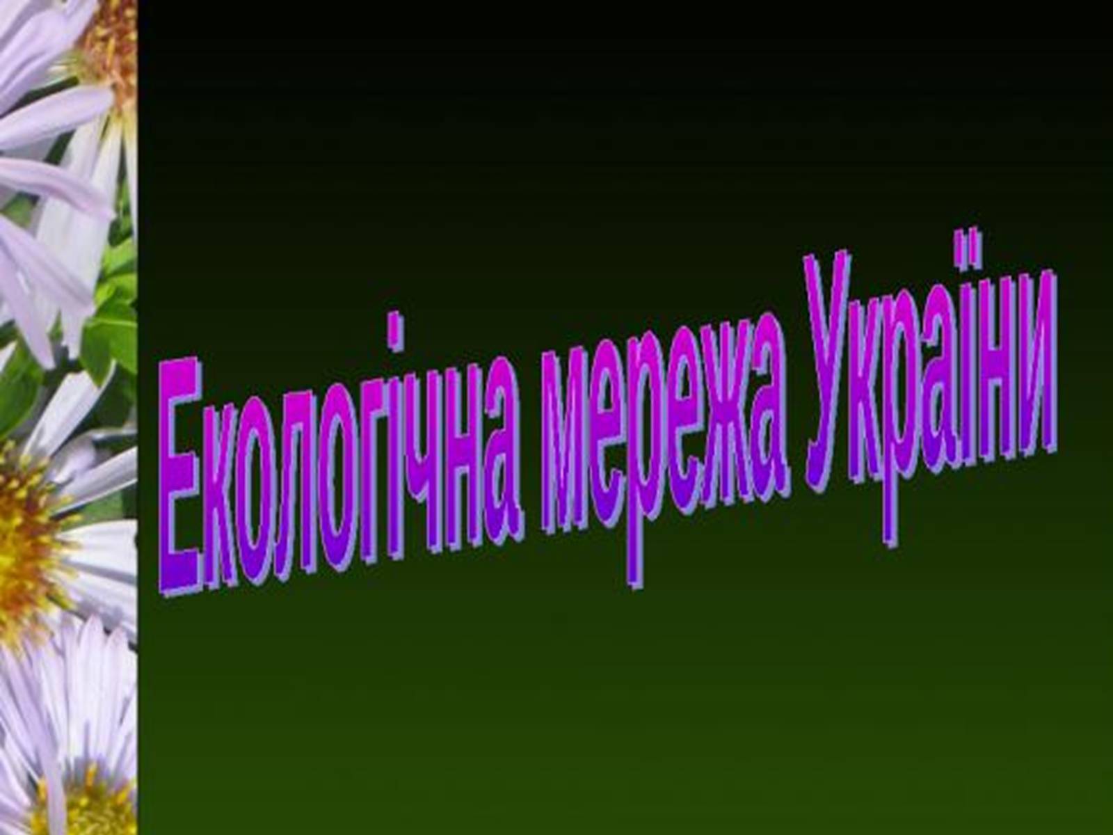 Презентація на тему «Природно-заповідний фонд України» (варіант 1) - Слайд #26