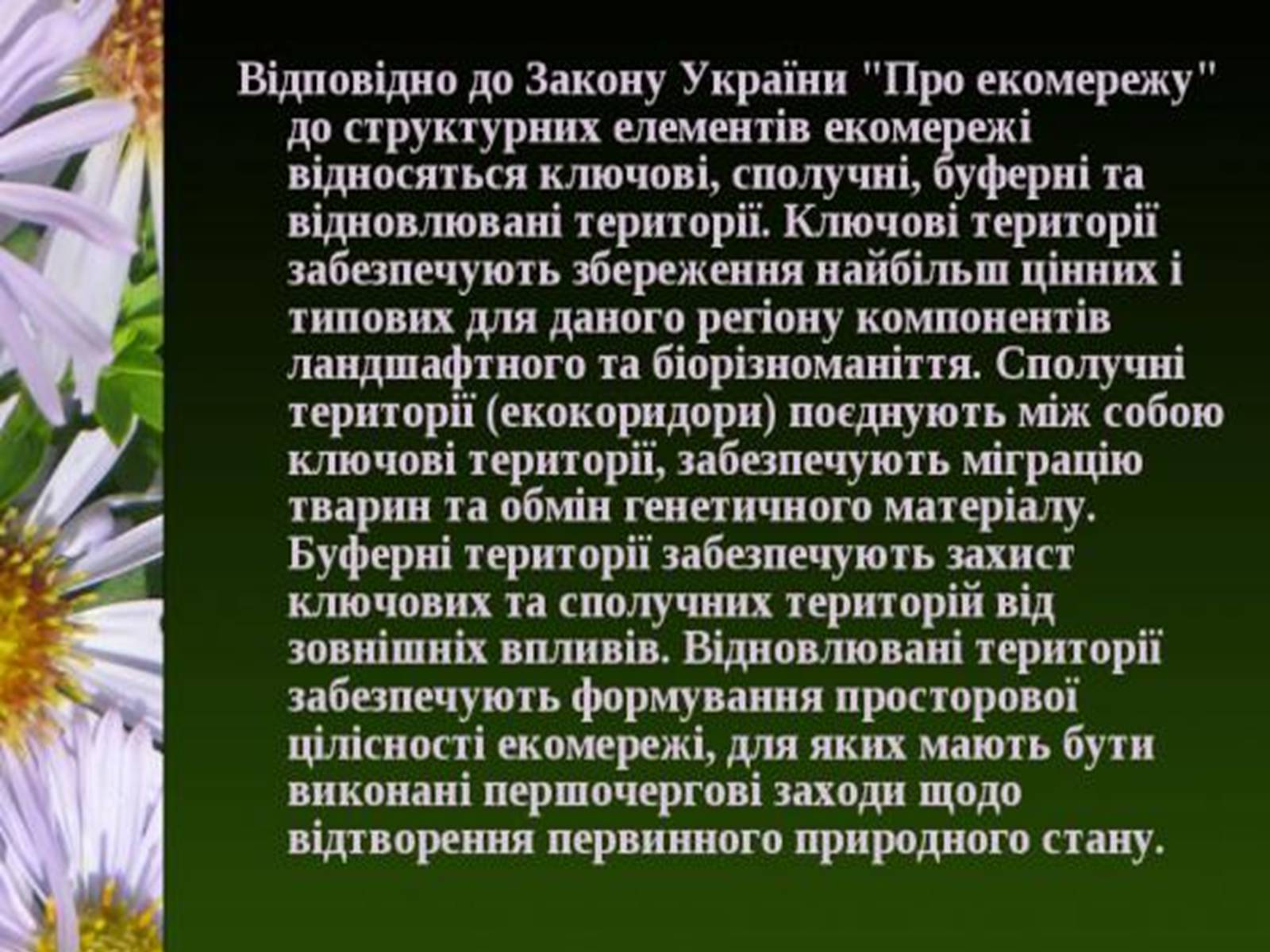 Презентація на тему «Природно-заповідний фонд України» (варіант 1) - Слайд #28