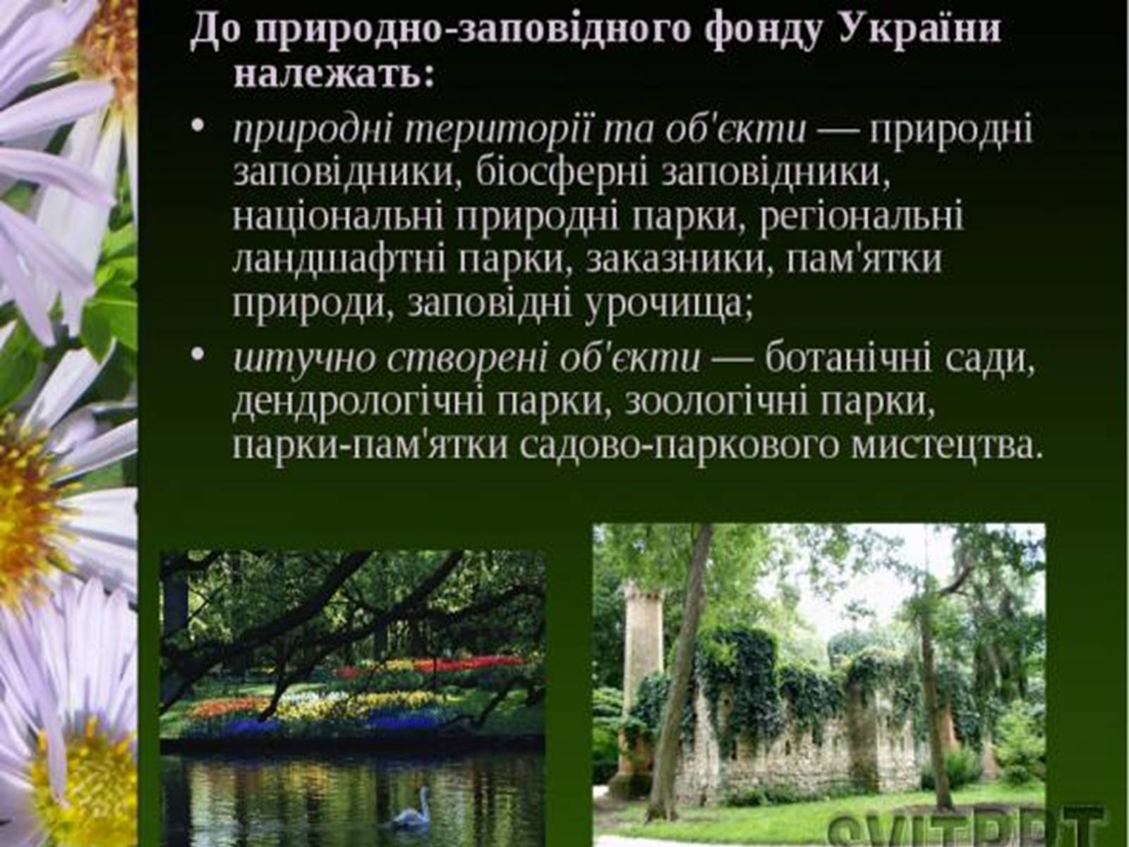 Презентація на тему «Природно-заповідний фонд України» (варіант 1) - Слайд #3