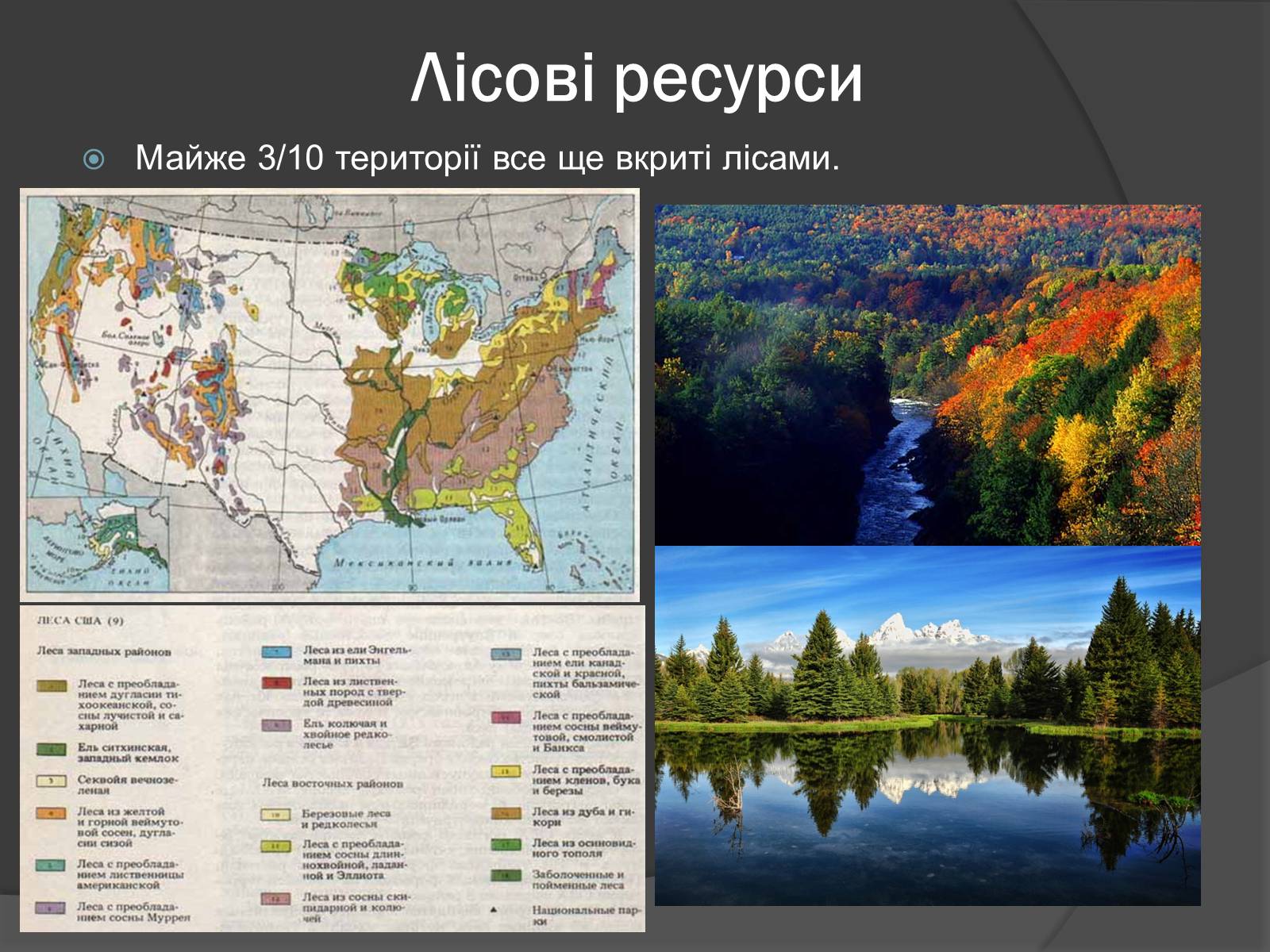 Презентація на тему «США» (варіант 9) - Слайд #11