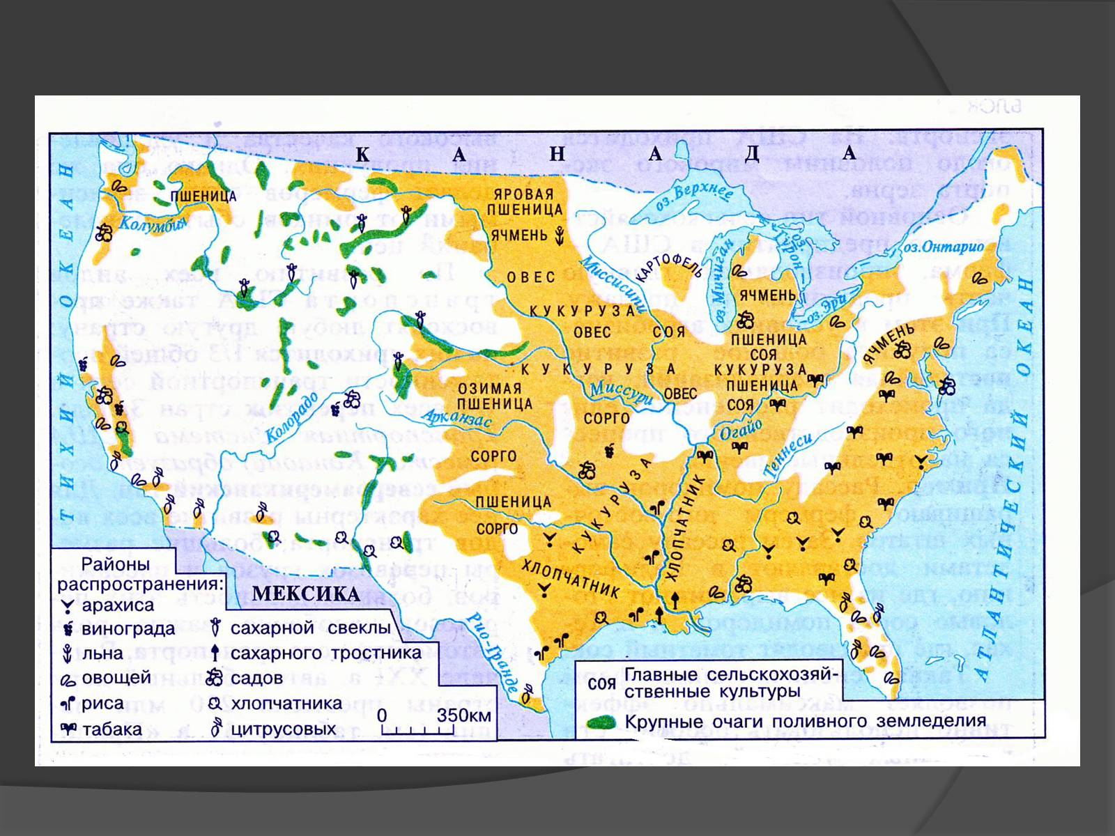 Сх сша. Растениеводство США карта. Сельскохозяйственная карта США. Сельскохозяйственные пояса США. Сельскохозяйственные культуры США на карте.