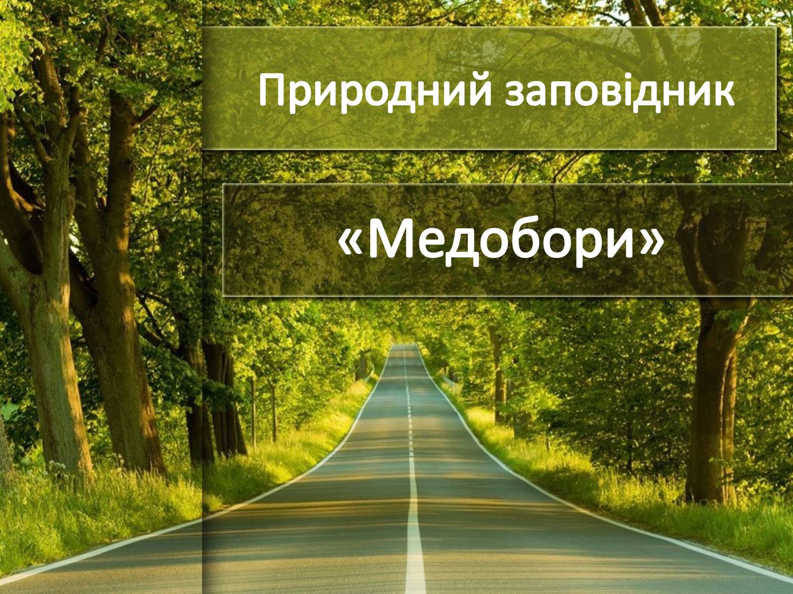 Презентація на тему «Природний заповідник» - Слайд #1